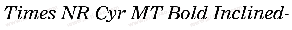 Times NR Cyr MT Bold Inclined字体转换